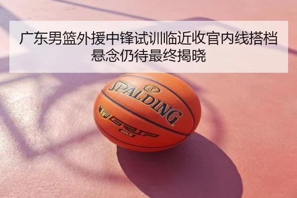 广东男篮外援中锋试训临近收官内线搭档悬念仍待最终揭晓