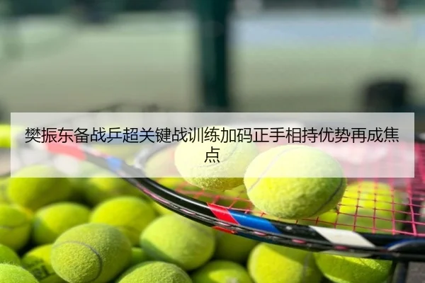 樊振东备战乒超关键战训练加码正手相持优势再成焦点